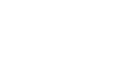 BNP Logo